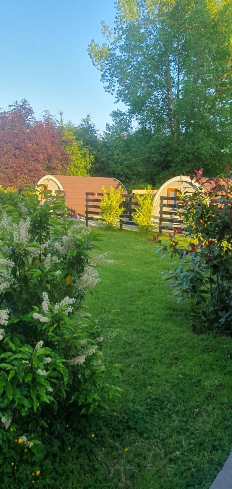 Priory Glamping Pods And Guest Accommodation Cill Airne Exteriör bild