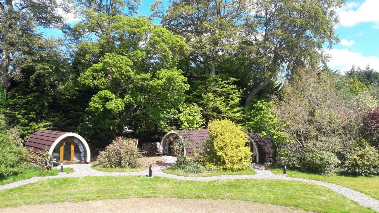 Priory Glamping Pods And Guest Accommodation Cill Airne Exteriör bild