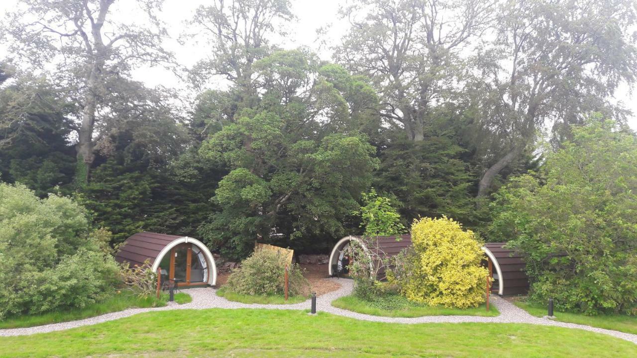 Priory Glamping Pods And Guest Accommodation Cill Airne Exteriör bild