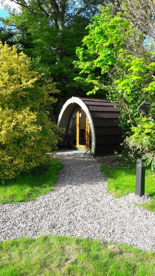 Priory Glamping Pods And Guest Accommodation Cill Airne Exteriör bild