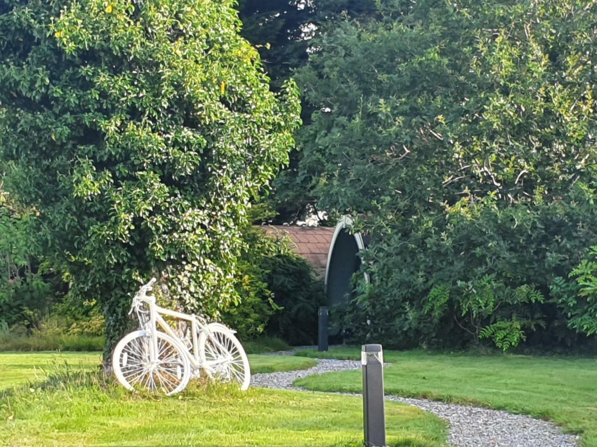 Priory Glamping Pods And Guest Accommodation Cill Airne Exteriör bild