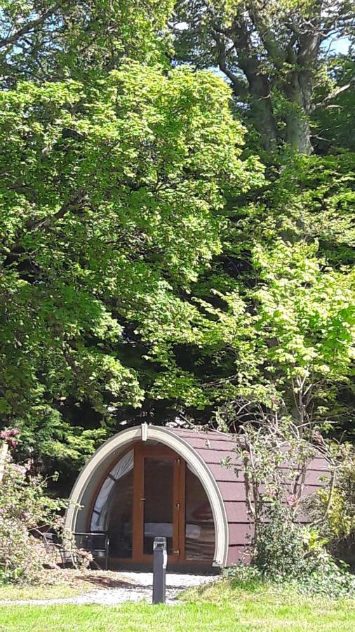 Priory Glamping Pods And Guest Accommodation Cill Airne Exteriör bild