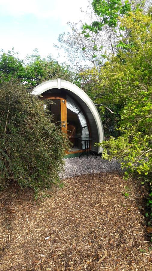 Priory Glamping Pods And Guest Accommodation Cill Airne Exteriör bild