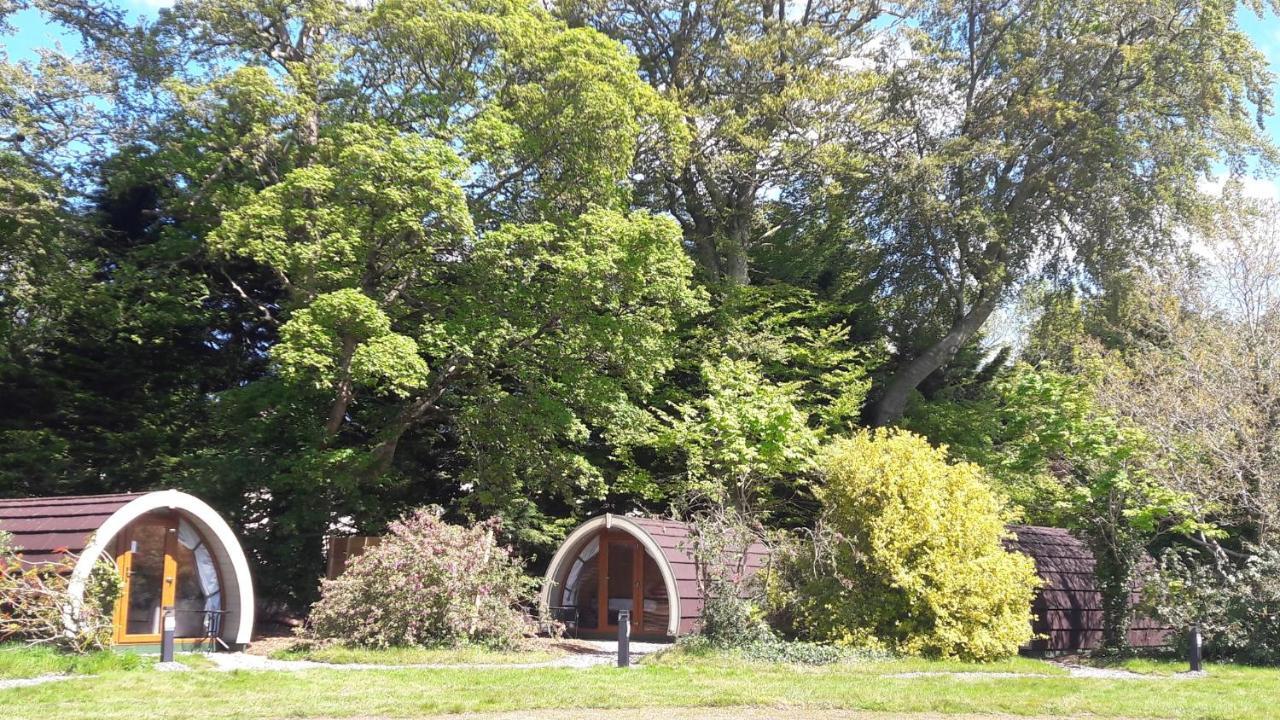 Priory Glamping Pods And Guest Accommodation Cill Airne Exteriör bild